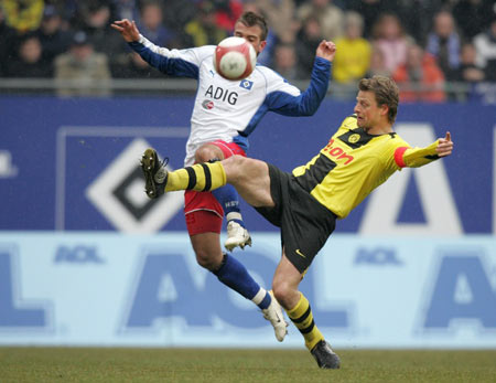 西部人才的 西部人才的